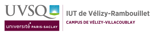 Logo IUT